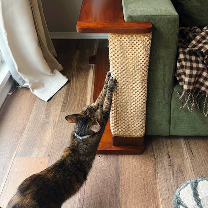 Cat-e-Corner