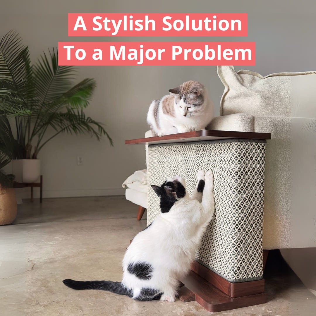 Cat-e-Corner